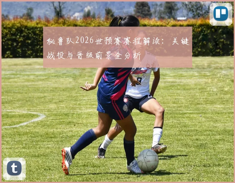 秘鲁队2026世预赛赛程解读：关键战役与晋级前景全分析