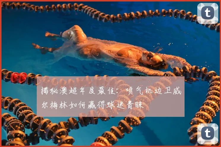 揭秘澳超年度最佳:喷气机边卫威尔梅林如何赢得球迷青睐