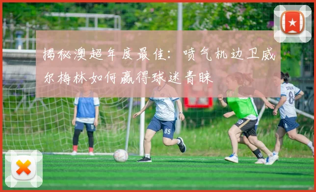 揭秘澳超年度最佳：喷气机边卫威尔梅林如何赢得球迷青睐