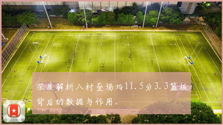 深度解析八村垒场均11.5分3.3篮板背后的数据与作用。